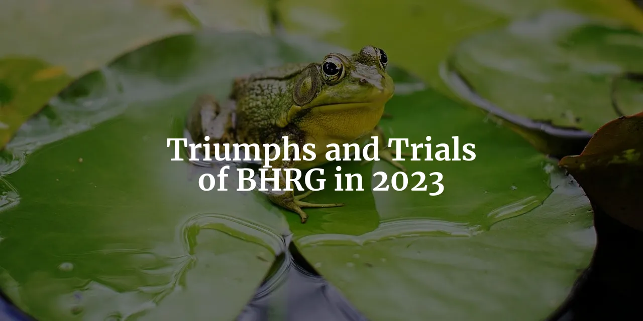 Navigating the Storm: Unveiling the Triumphs and Trials of Berkshire Hathaway Reinsurance Group in 2023