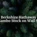 Berkshire Hathaway: The Rambo Stock on Wall Street cover