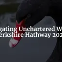 Navigating Uncharted Waters: Berkshire Hathaway and the Looming Black Swans of 2024 cover